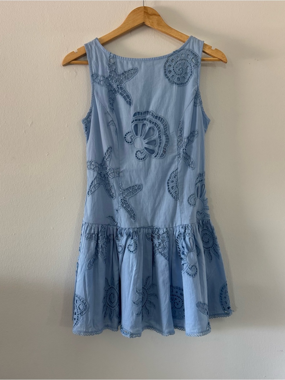 Caroline Constas 6 Embroidered Sleeveless Drop Waist Mini Dress Coastal Ballet